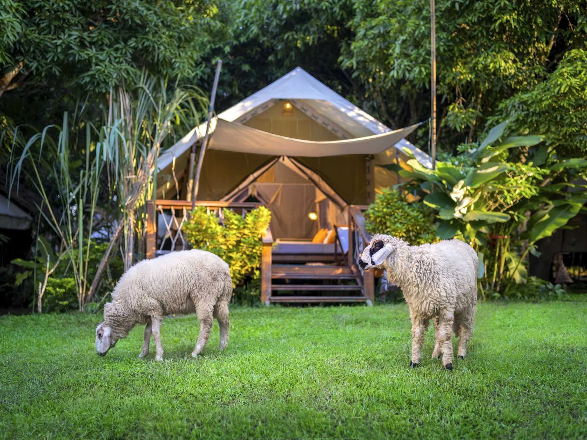 Hintok River Camp Ban Huai Maenam Noi Dış mekan fotoğraf